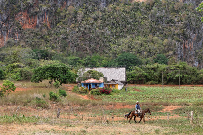 4116 Vacances  Cuba en avril 2017 - IMG_9636 DxO Pbase.jpg