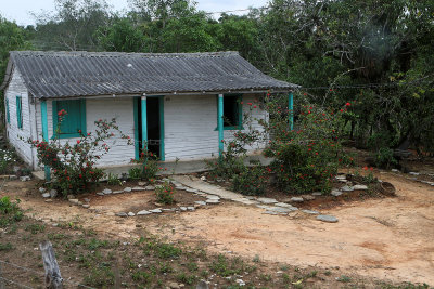 4167 Vacances  Cuba en avril 2017 - IMG_9694 DxO Pbase.jpg