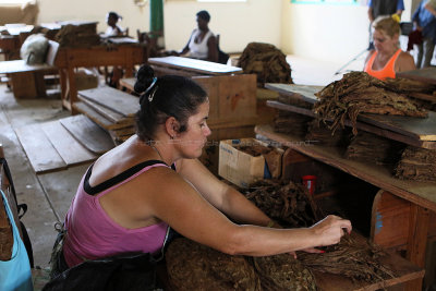 4264 Vacances  Cuba en avril 2017 - IMG_9806 DxO Pbase.jpg