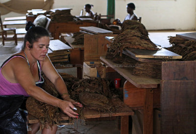 4266 Vacances  Cuba en avril 2017 - IMG_9808 DxO Pbase.jpg