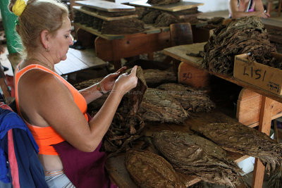 4270 Vacances  Cuba en avril 2017 - IMG_9813 DxO Pbase.jpg
