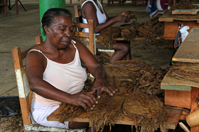 4277 Vacances  Cuba en avril 2017 - IMG_9820 DxO Pbase.jpg