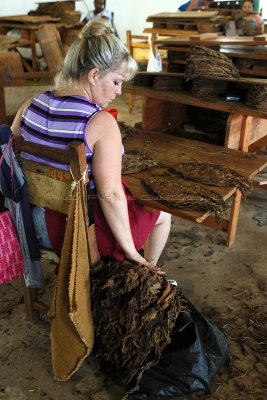 4293 Vacances  Cuba en avril 2017 - IMG_9839 DxO Pbase.jpg