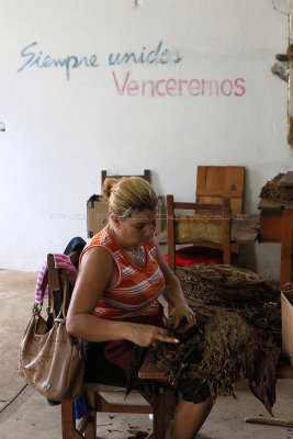 4298 Vacances  Cuba en avril 2017 - IMG_9844 DxO Pbase.jpg