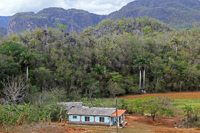 4328 Vacances  Cuba en avril 2017 - IMG_9877 DxO Pbase.jpg