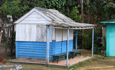4343 Vacances  Cuba en avril 2017 - IMG_9896 DxO Pbase.jpg