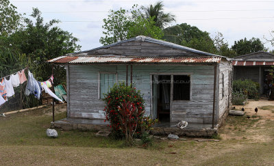4344 Vacances  Cuba en avril 2017 - IMG_9897 DxO Pbase.jpg