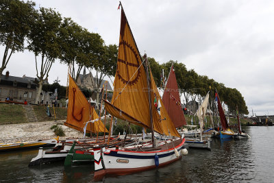 328 Festival de Loire 2017 - IMG_0197 DxO Pbase.jpg