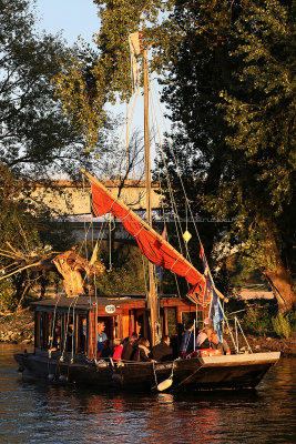 756 Festival de Loire 2017 - IMG_2708 DxO Pbase.jpg