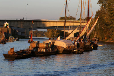 776 Festival de Loire 2017 - IMG_2727 DxO Pbase.jpg