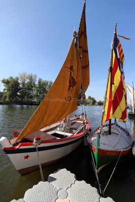 1946 Festival de Loire 2017 - IMG_1063 DxO Pbase.jpg