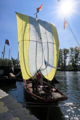 1996 Festival de Loire 2017 - IMG_9339 DxO Pbase.jpg