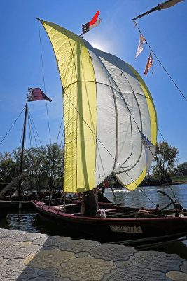 1998 Festival de Loire 2017 - IMG_9340 DxO Pbase.jpg