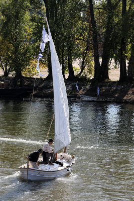 1999 Festival de Loire 2017 - IMG_3252 DxO Pbase.jpg