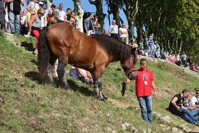 2118 Festival de Loire 2017 - IMG_9350 DxO Pbase.jpg