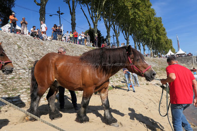 2121 Festival de Loire 2017 - IMG_9353 DxO Pbase.jpg