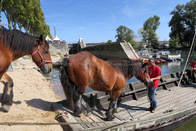 2123 Festival de Loire 2017 - IMG_9355 DxO Pbase.jpg