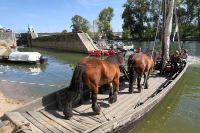 2125 Festival de Loire 2017 - IMG_9357 DxO Pbase.jpg