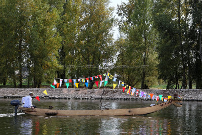 2273 Festival de Loire 2017 - IMG_3439 DxO Pbase.jpg