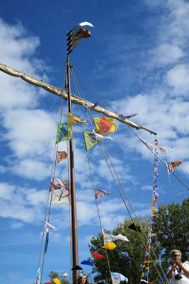 2362 Festival de Loire 2017 - IMG_9401 DxO Pbase.jpg