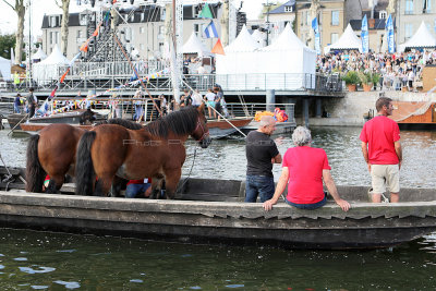 2400 Festival de Loire 2017 - IMG_3499 DxO Pbase.jpg