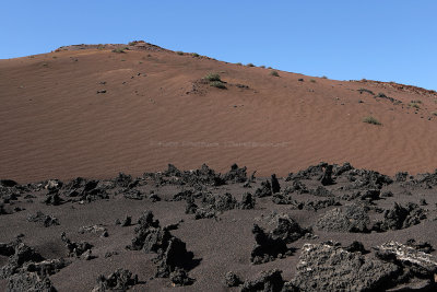 1912 Vacances aux iles Canaries nov 2017 - IMG_2073 DxO Pbase.jpg