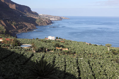 3916 Vacances aux iles Canaries nov 2017 - IMG_4275 DxO Pbase.jpg