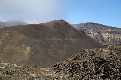 4726 Vacances aux iles Canaries nov 2017 - IMG_5233 DxO Pbase.jpg