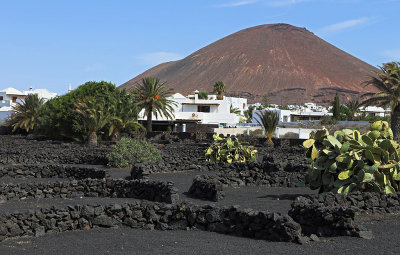 901 Vacances aux iles Canaries nov 2017 - IMG_0947 DxO Pbase.jpg