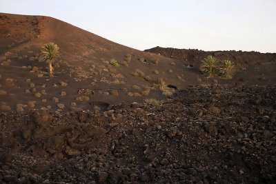 1034 Vacances aux iles Canaries nov 2017 - IMG_1100 DxO Pbase.jpg