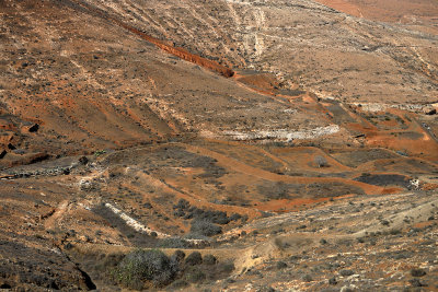 1379 Vacances aux iles Canaries nov 2017 - IMG_1485 DxO Pbase.jpg