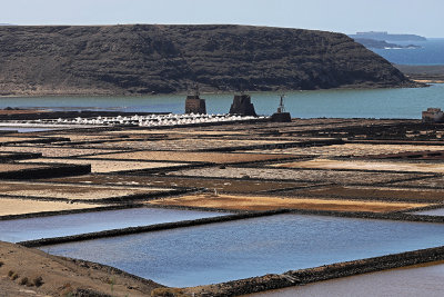 2231 Vacances aux iles Canaries nov 2017 - IMG_2408 DxO Pbase.jpg