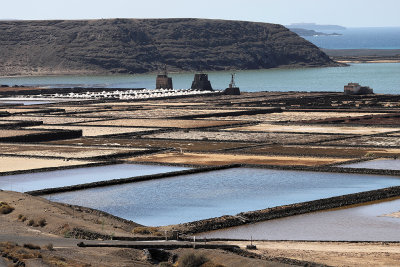 2232 Vacances aux iles Canaries nov 2017 - IMG_2409 DxO Pbase.jpg