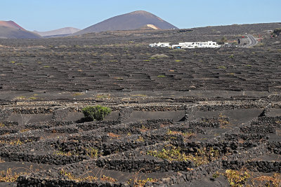 2282 Vacances aux iles Canaries nov 2017 - IMG_2469 DxO Pbase.jpg