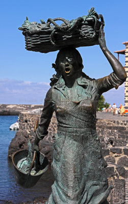 Tenerife : visite du sud-ouest de lle, Puerto de la Cruz, Garachico et sa rgion