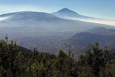 Tenerife : excursion dans le nord de l'le et le parc rural de l'Anaga