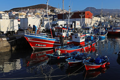 Dcouverte des les Canaries  Journe sur lle de La Gomera