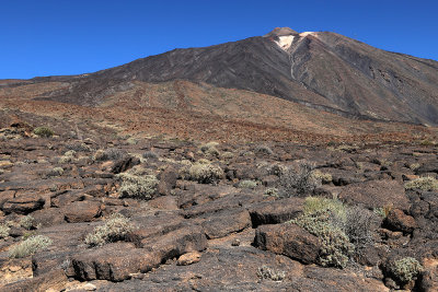 4540 Vacances aux iles Canaries nov 2017 - IMG_5013 DxO Pbase.jpg