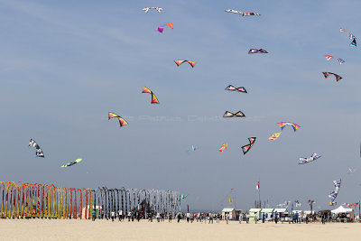 49 WE cerfs volants  Berck sur Mer - IMG_3658 DxO Pbase.jpg