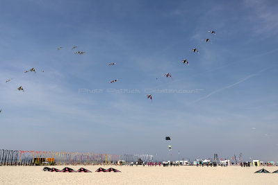 85 WE cerfs volants  Berck sur Mer - IMG_6072 DxO Pbase.jpg