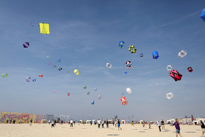 175 WE cerfs volants  Berck sur Mer - IMG_6125 DxO Pbase.jpg