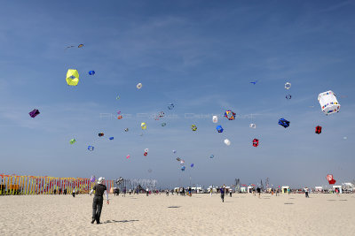 177 WE cerfs volants  Berck sur Mer - IMG_6127 DxO Pbase.jpg