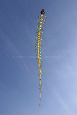 254 WE cerfs volants  Berck sur Mer - IMG_3786 DxO Pbase.jpg