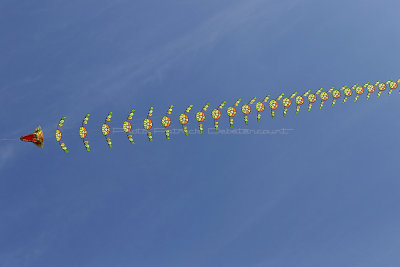 263 WE cerfs volants  Berck sur Mer - IMG_3795 DxO Pbase.jpg