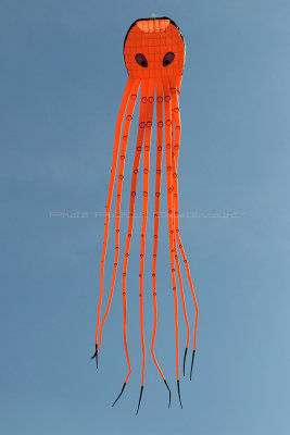 279 WE cerfs volants  Berck sur Mer - IMG_3811 DxO Pbase.jpg