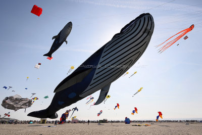 International 2018 Kite Festival in Berck sur Mer - Rencontres Internationales 2018 de Cerfs-Volants  Berck sur Mer
