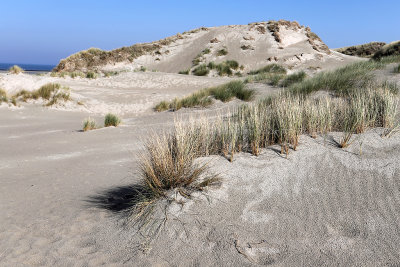 Promenade sur le chemin daccs  la mer de Saint-Quentin en Tourmont (dune de la Pyramide)