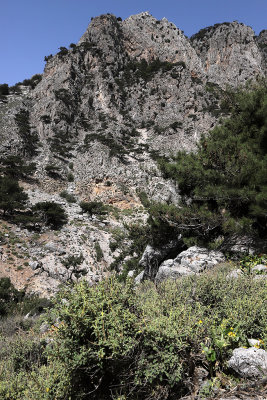 310 2 WEEKS IN CRETE IN MAY 2018 - IMG_6650 DxO Pbase.jpg