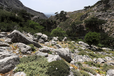382 2 WEEKS IN CRETE IN MAY 2018 - IMG_6724 DxO Pbase.jpg
