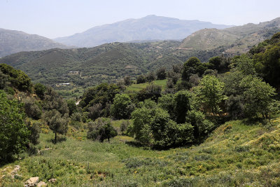 613 2 WEEKS IN CRETE IN MAY 2018 - IMG_6968 DxO Pbase.jpg